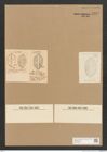 Diatomeae indet. Zeichnungen Sammlung Grunow Nr. 3742 (NHMW-BOT-W0371386)
